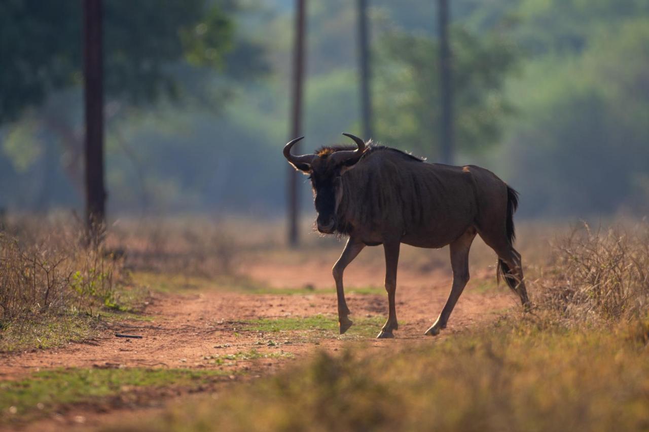 Nungu Game Lodge Lephalale Εξωτερικό φωτογραφία