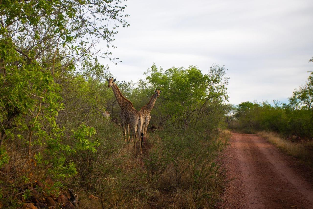 Nungu Game Lodge Lephalale Εξωτερικό φωτογραφία